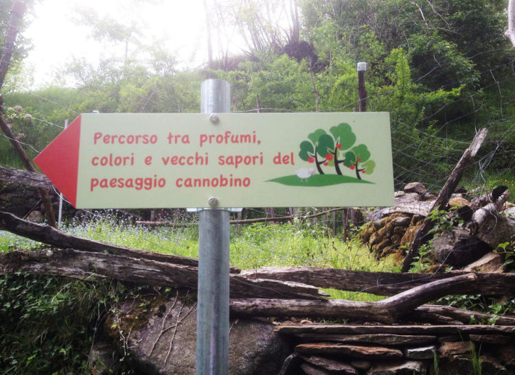 Comune di Cursolo Orasso