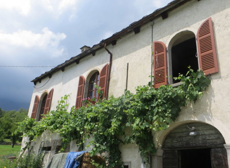 Azienda Agricola Fattoriamo