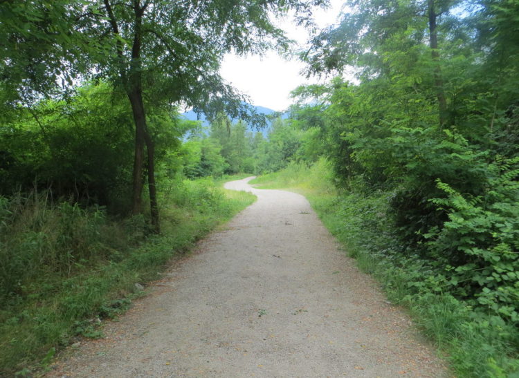 Comune di Montecrestese