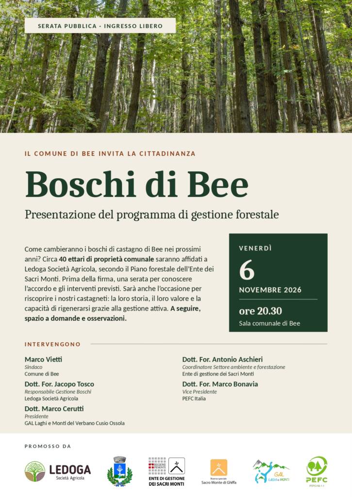 Boschi di Bee